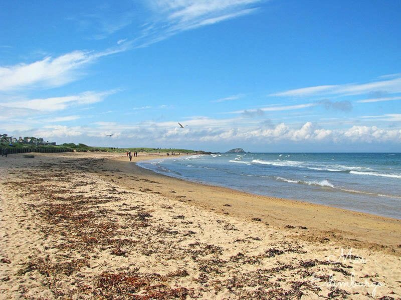 Visitar North Berwick - La isla del tesoro o Fidra