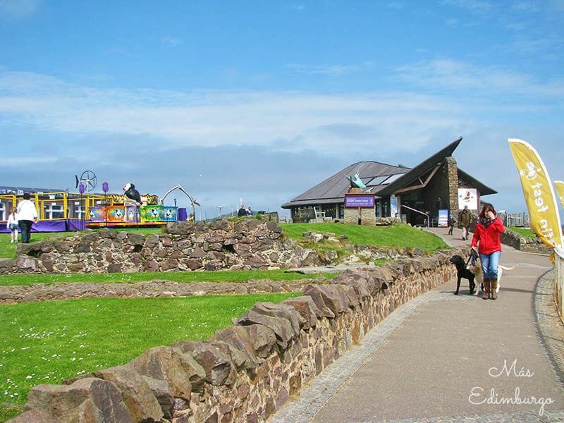Que hacer en North Berwick Escocia Scottish Seabird Centre